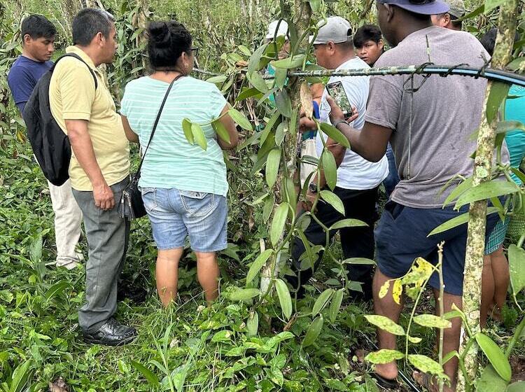 فندق Tropical Magnolia