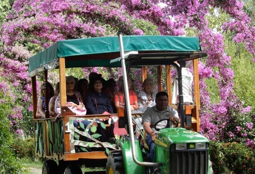 فندق Tropical Magnolia