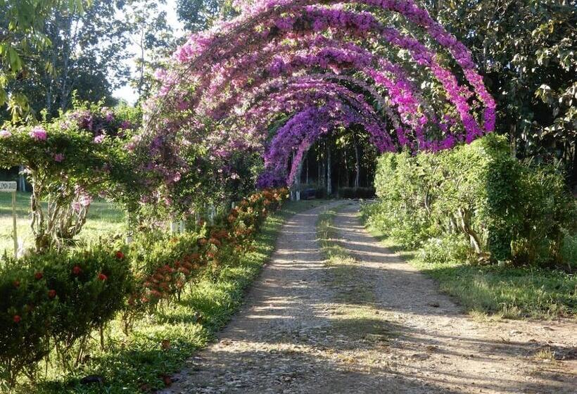 בית מלון כפרי Tropical Magnolia