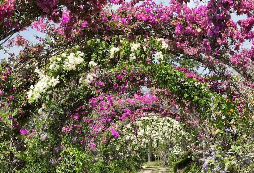 בית מלון כפרי Tropical Magnolia