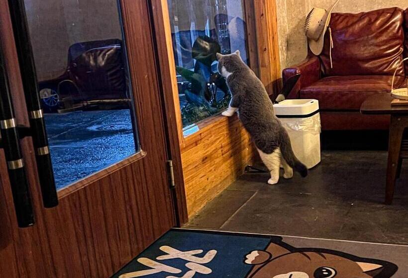 Little White House Homestay   Tianmen Mountain Scenic Area