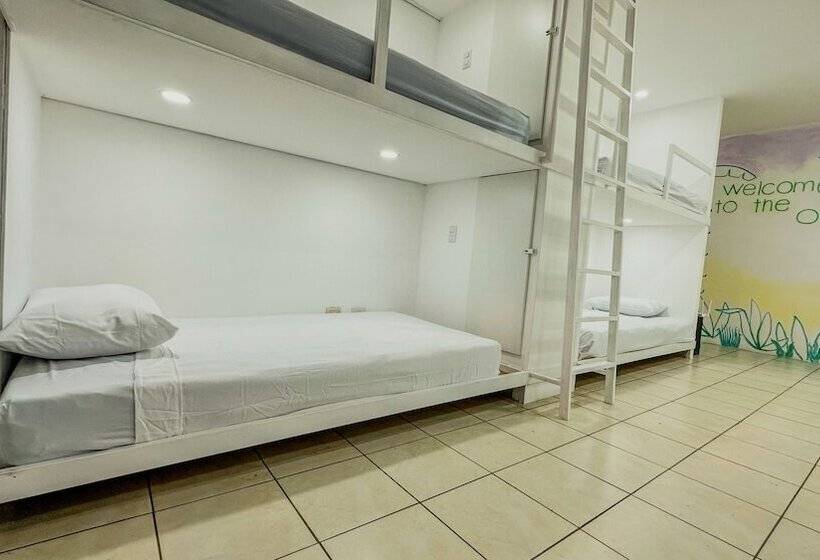 پانسیون Sjo Oasis Hostel