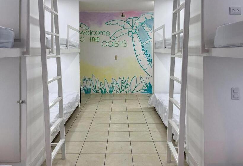 پانسیون Sjo Oasis Hostel