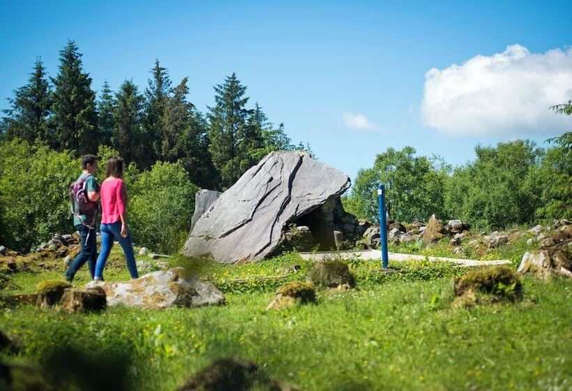 فندق صغير Trivia House