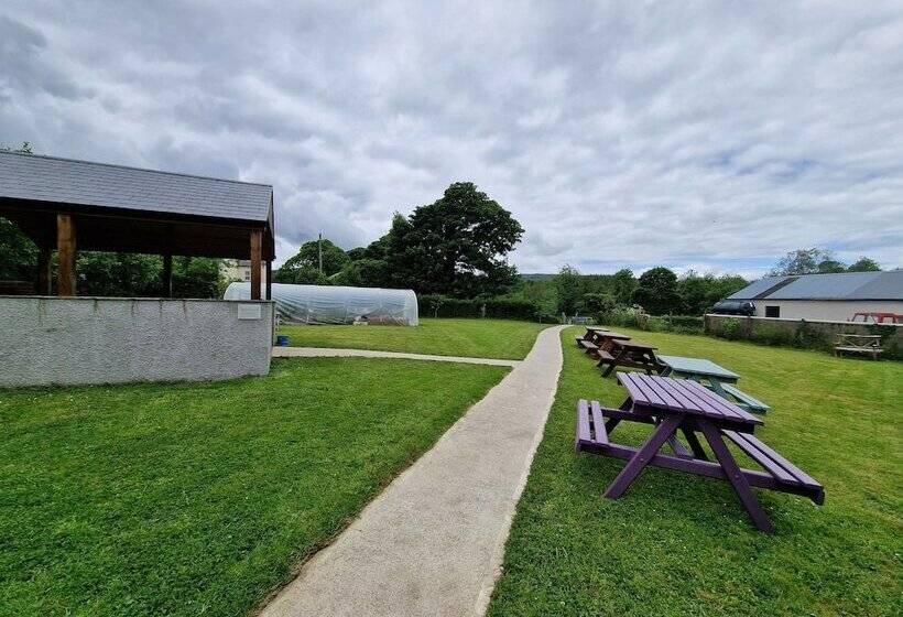 فندق صغير Trivia House