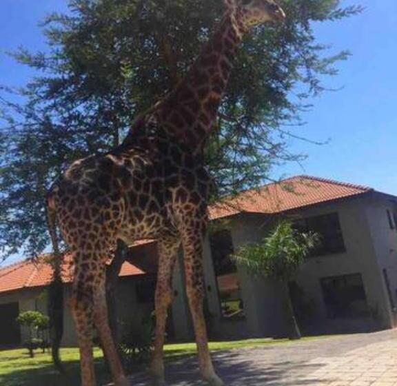 צימר Indlovu Guesthouse