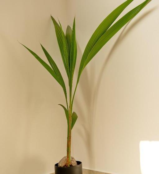 فندق Pensiunea Mara