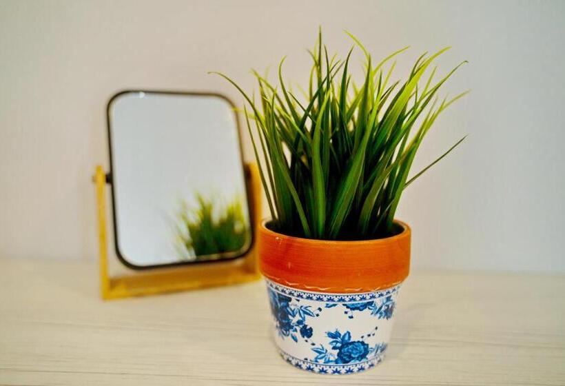 فندق Pensiunea Mara