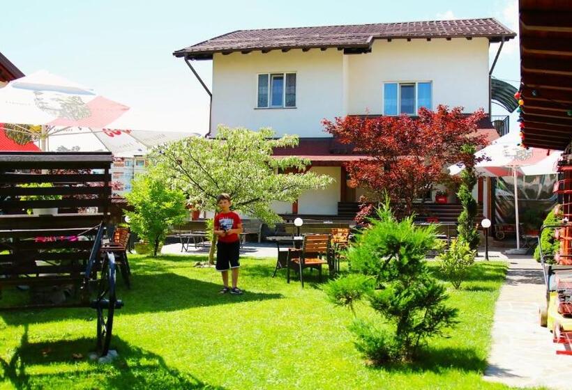 بنسيون Casa Guşă