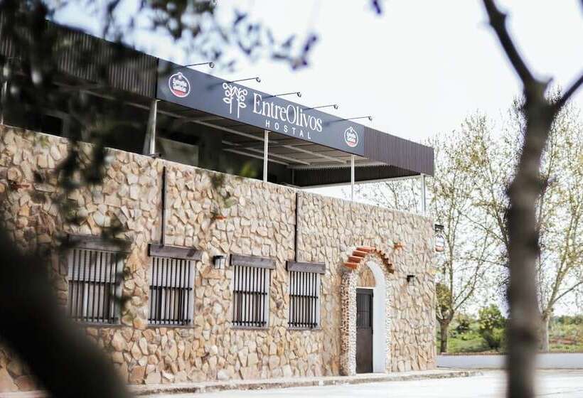 پانسیون Hostal Entreolivos