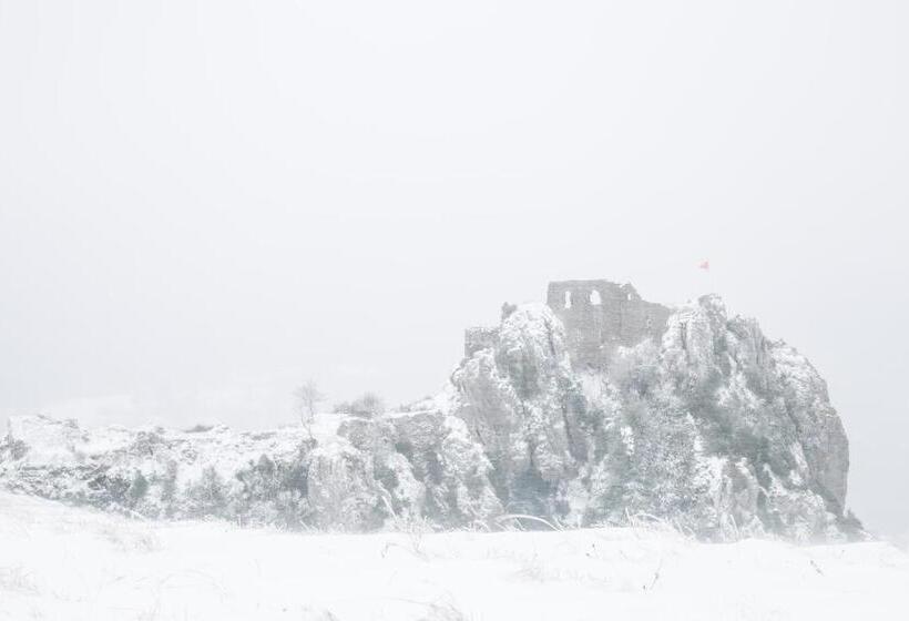 Общежитие Gite D étape De Roquefixade