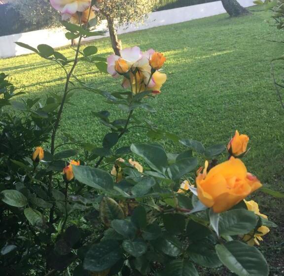 住宿加早餐  Chambre Privée Dans Villa Provençale