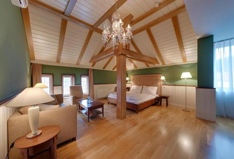 בית מלון כפרי Torysa