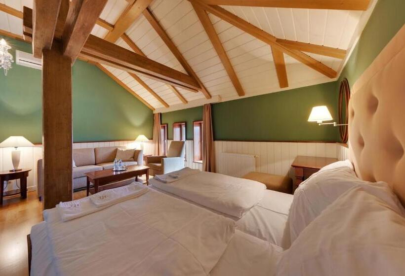 בית מלון כפרי Torysa