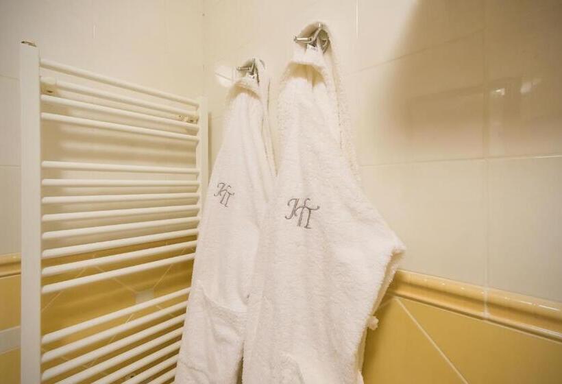 בית מלון כפרי Torysa