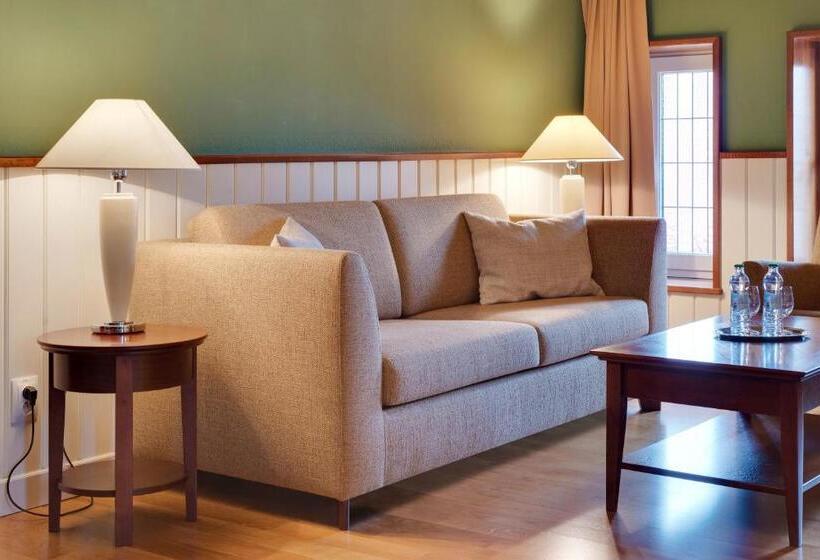 בית מלון כפרי Torysa