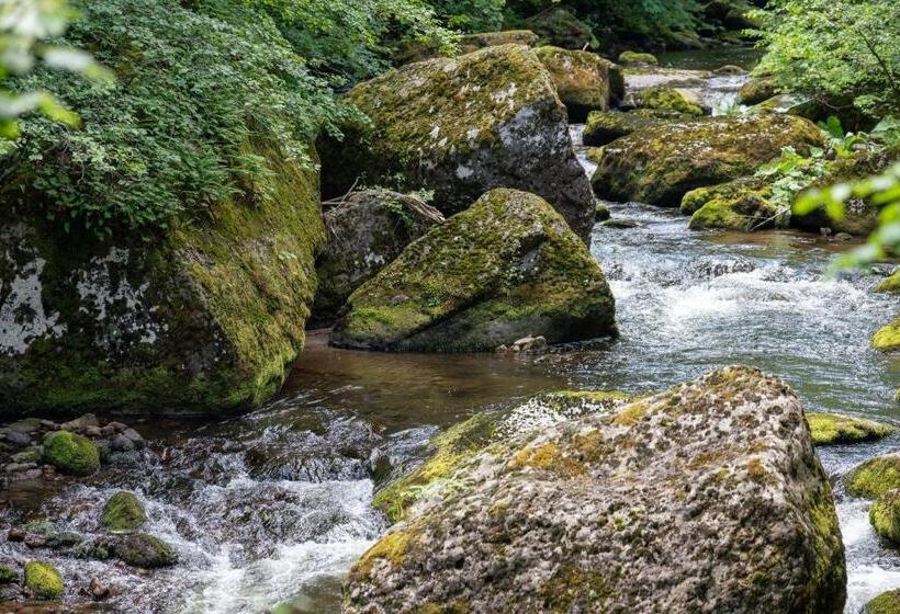 بنسيون Guest House Rosenovi