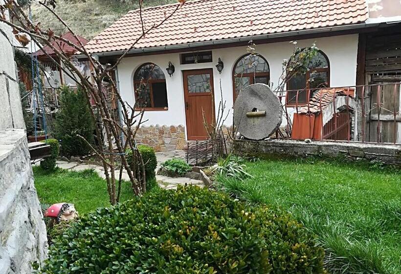 بنسيون Guest House Rosenovi