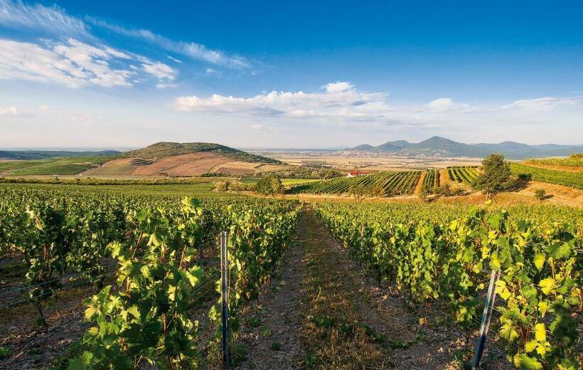 Пансион Penzión Tokaj Ostrožovič