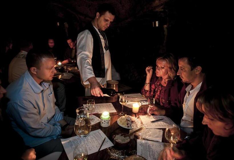 Пансион Penzión Tokaj Ostrožovič