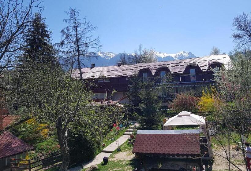 Pension Bran Ioana
