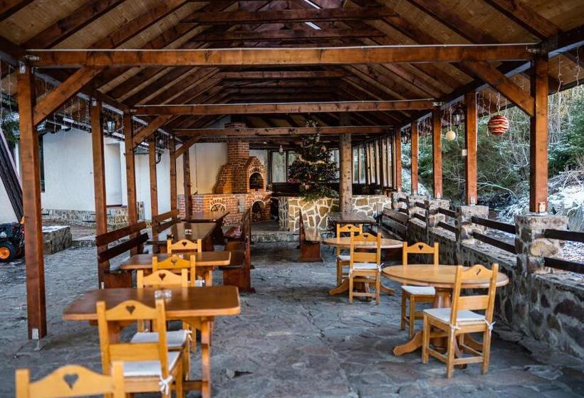 Pensiunea Casa Motului