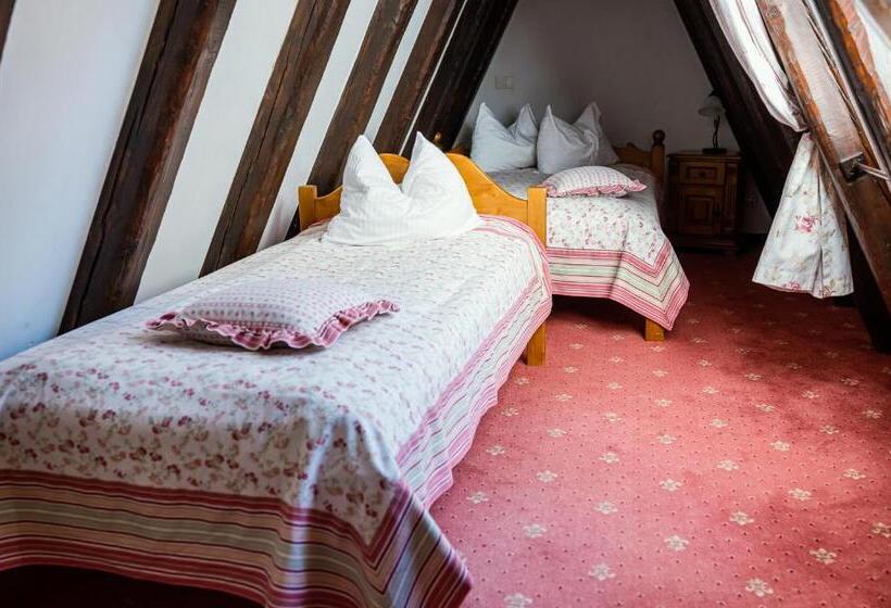 Pensiunea Casa Motului