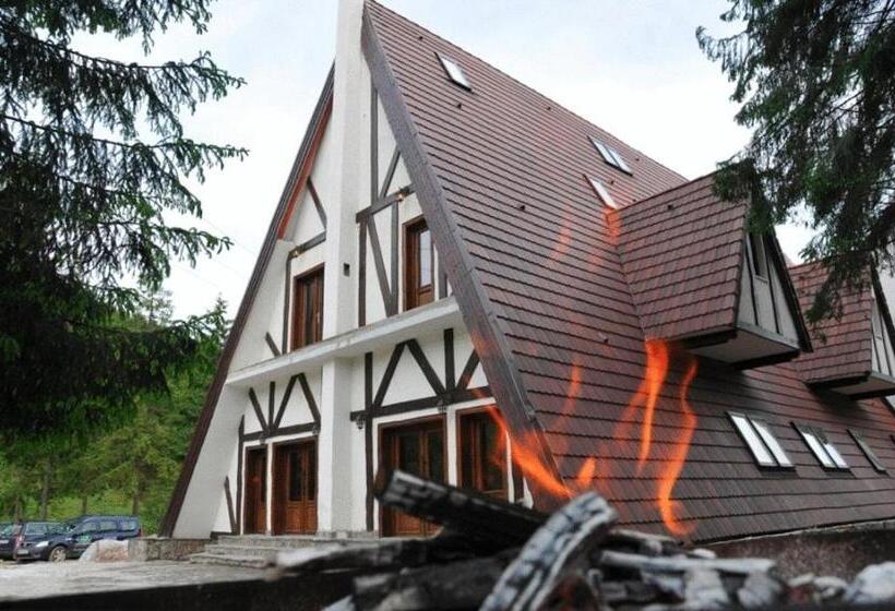 Pensiunea Casa Motului