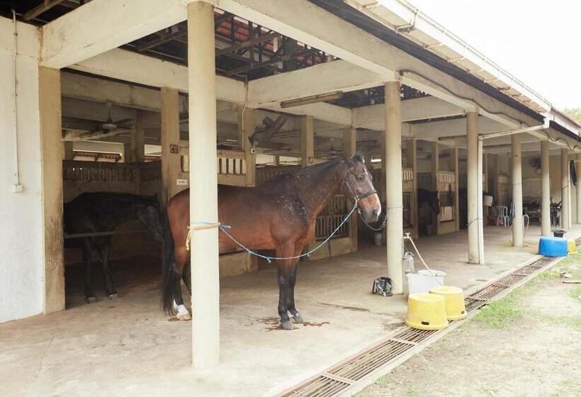 Terengganu Equestrian Resort