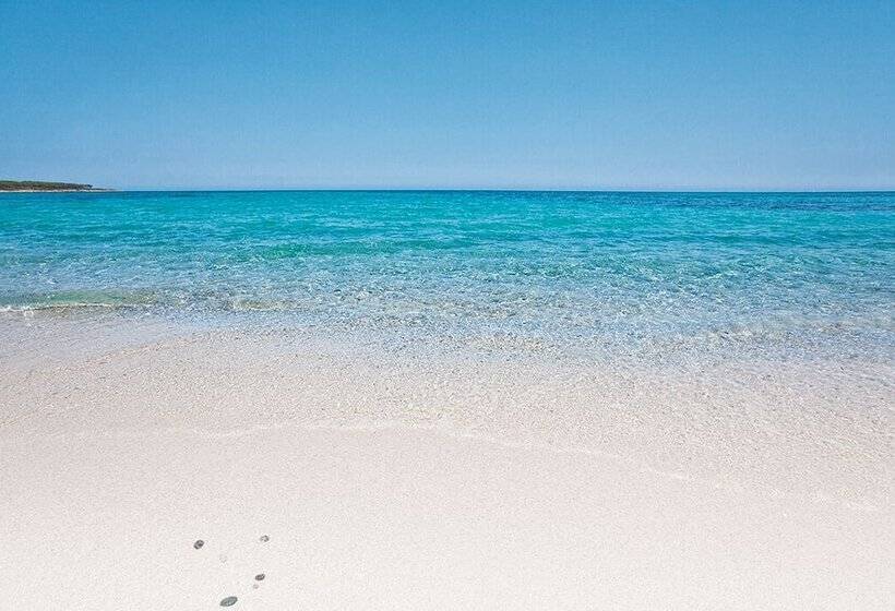 Отель Futura Club Cala Fiorita