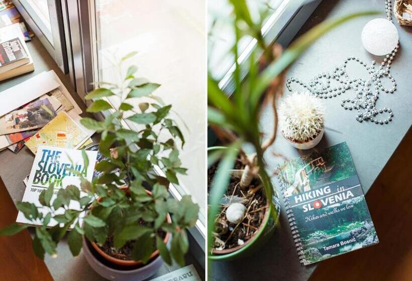 هاستل Cukrarna Guest Accommodation