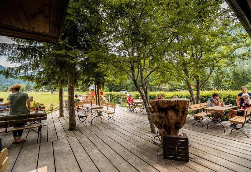 هاستل Cvet Gora  Camping, Glamping And Accomodations