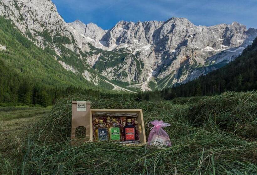 هاستل Cvet Gora  Camping, Glamping And Accomodations