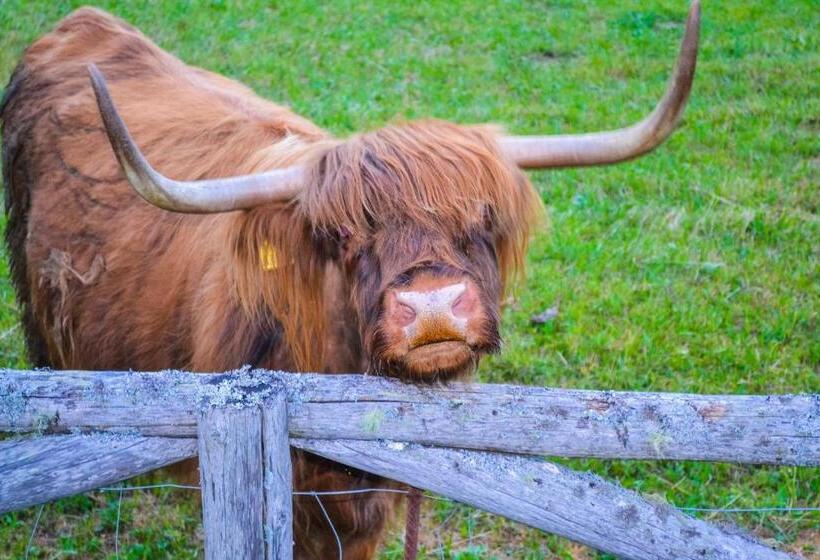 هاستل Cvet Gora  Camping, Glamping And Accomodations