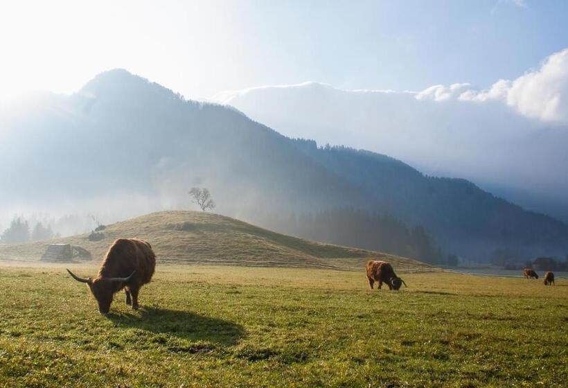 هاستل Cvet Gora  Camping, Glamping And Accomodations