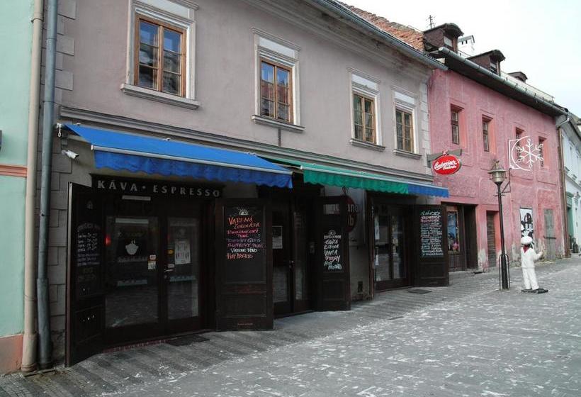 مبيت وإفطار Apartments And Suites Kremnica