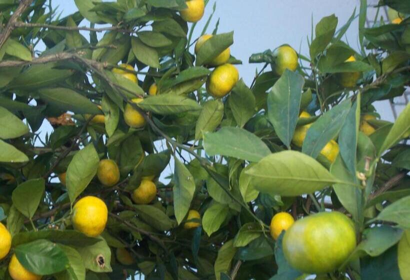 Bed and Breakfast Apartments & Rooms Karmen