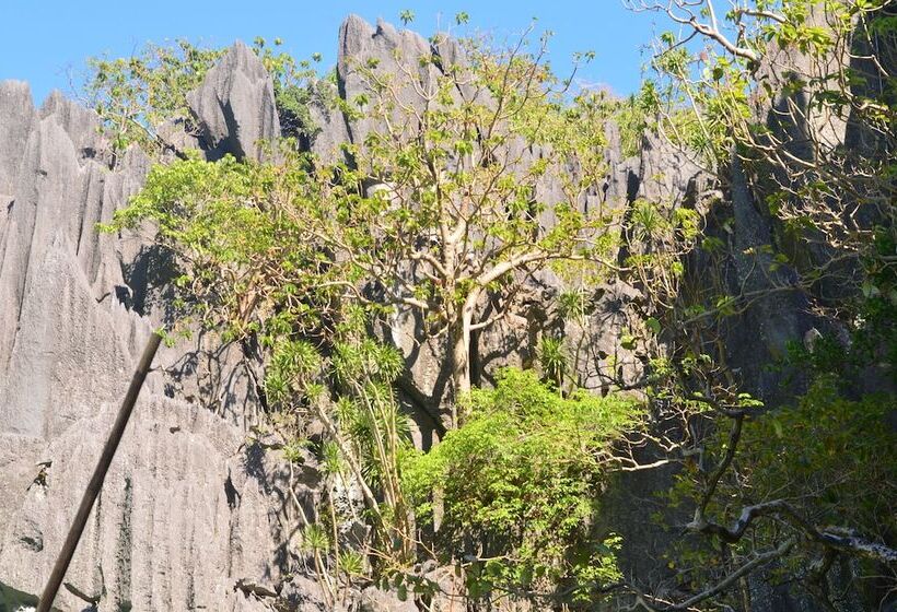 تختخواب و صبحانه Balay Paragua