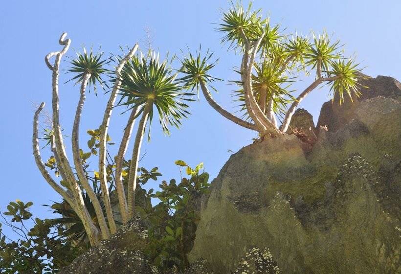 تختخواب و صبحانه Balay Paragua