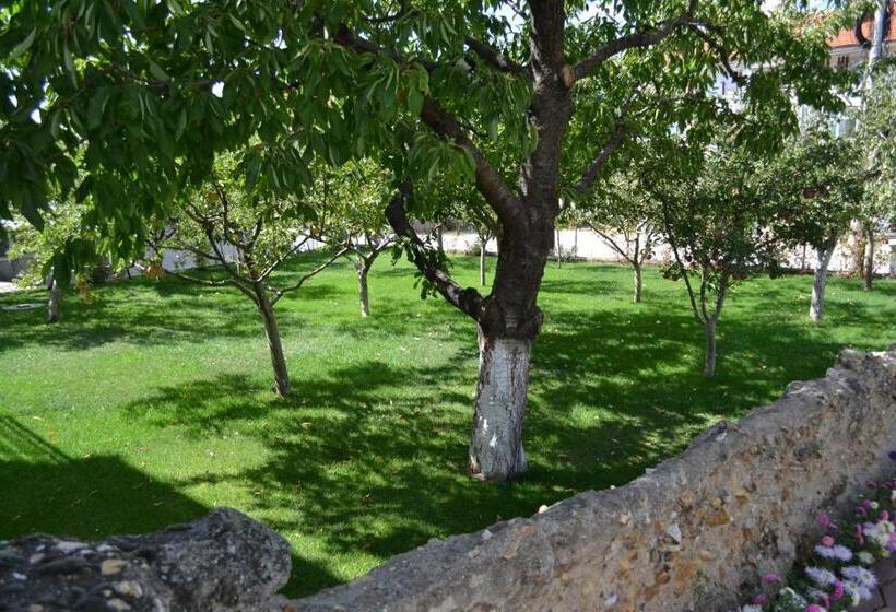 تختخواب و صبحانه Honey Home By Kostoski Inn