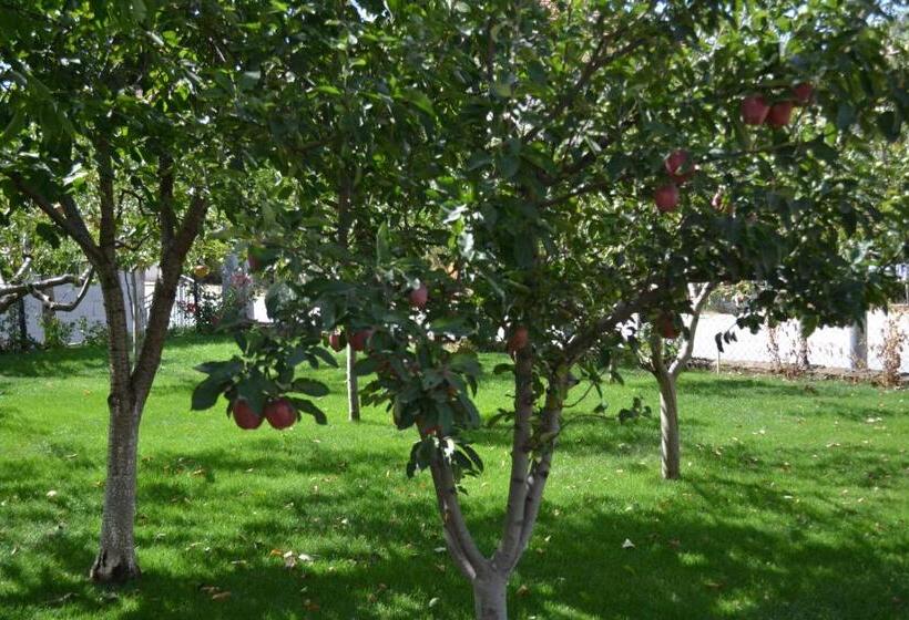 تختخواب و صبحانه Honey Home By Kostoski Inn