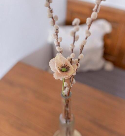 Bed And Breakfast Mili Vrh