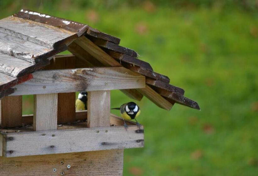 تختخواب و صبحانه Mini