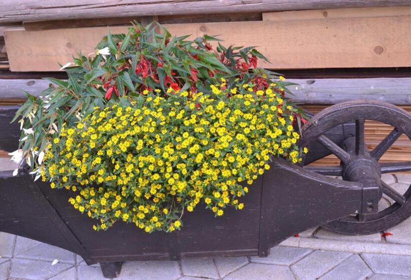 تختخواب و صبحانه Mini