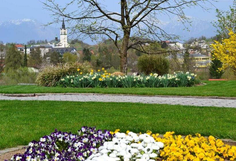 تختخواب و صبحانه Mini