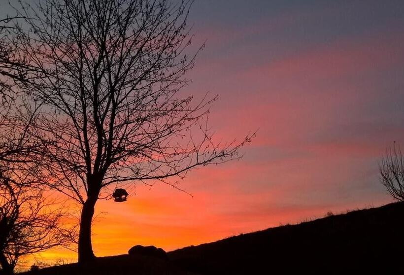 تختخواب و صبحانه Tourist Farm Pr Dovar