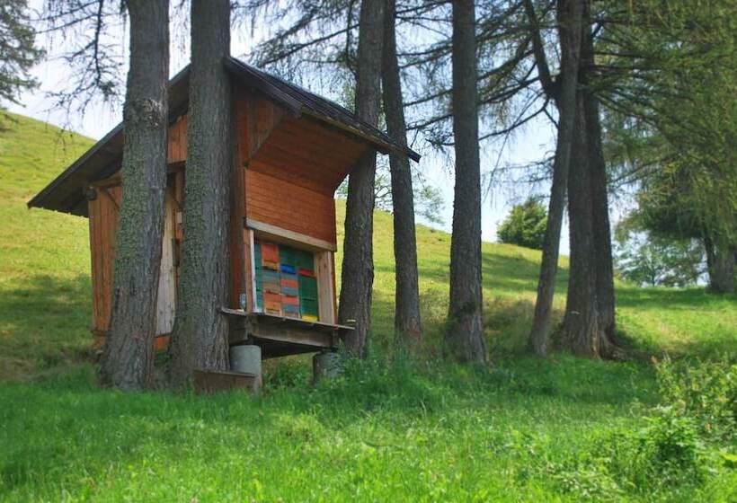 تختخواب و صبحانه Tourist Farm Pr Dovar