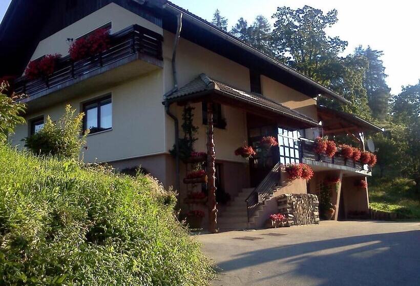 تختخواب و صبحانه Tourist Farm Pr Dovar