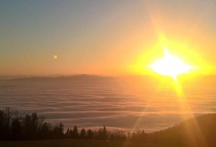 تختخواب و صبحانه Tourist Farm Pr Dovar