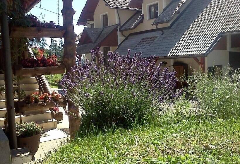 تختخواب و صبحانه Tourist Farm Pr Dovar